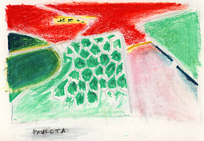 10 june - 'pauleta'