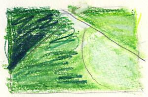 17 june - 'field detail'