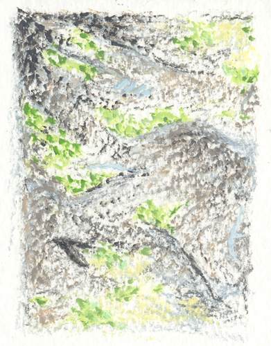 2007ny--olivefields