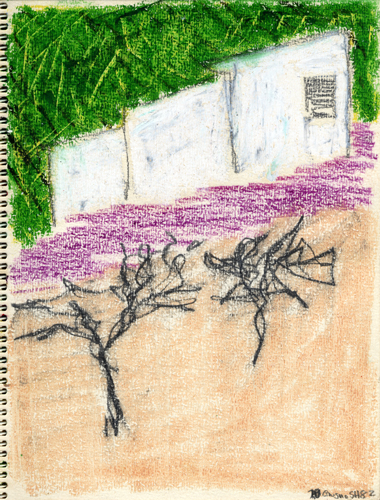 case_e_ulivi_982