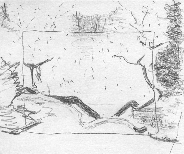 2005_pillnitz_blossoms01